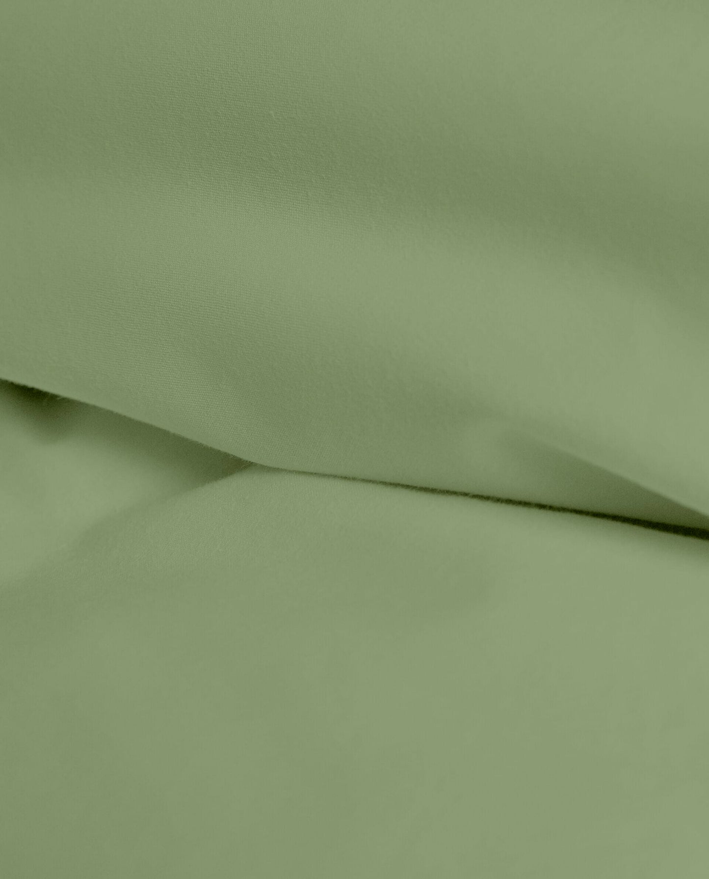 MOSS | FEATHER TOUCH COMFORTER